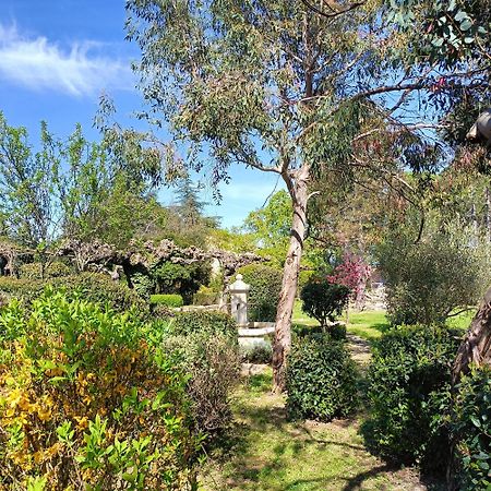L'Arbre Du Magnan Villa Chandolas Bagian luar foto